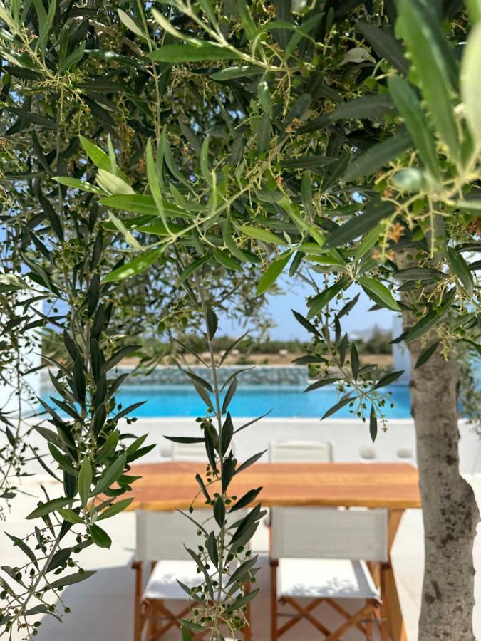 Alio Naxos Luxury Suites 圣乔治 外观 照片