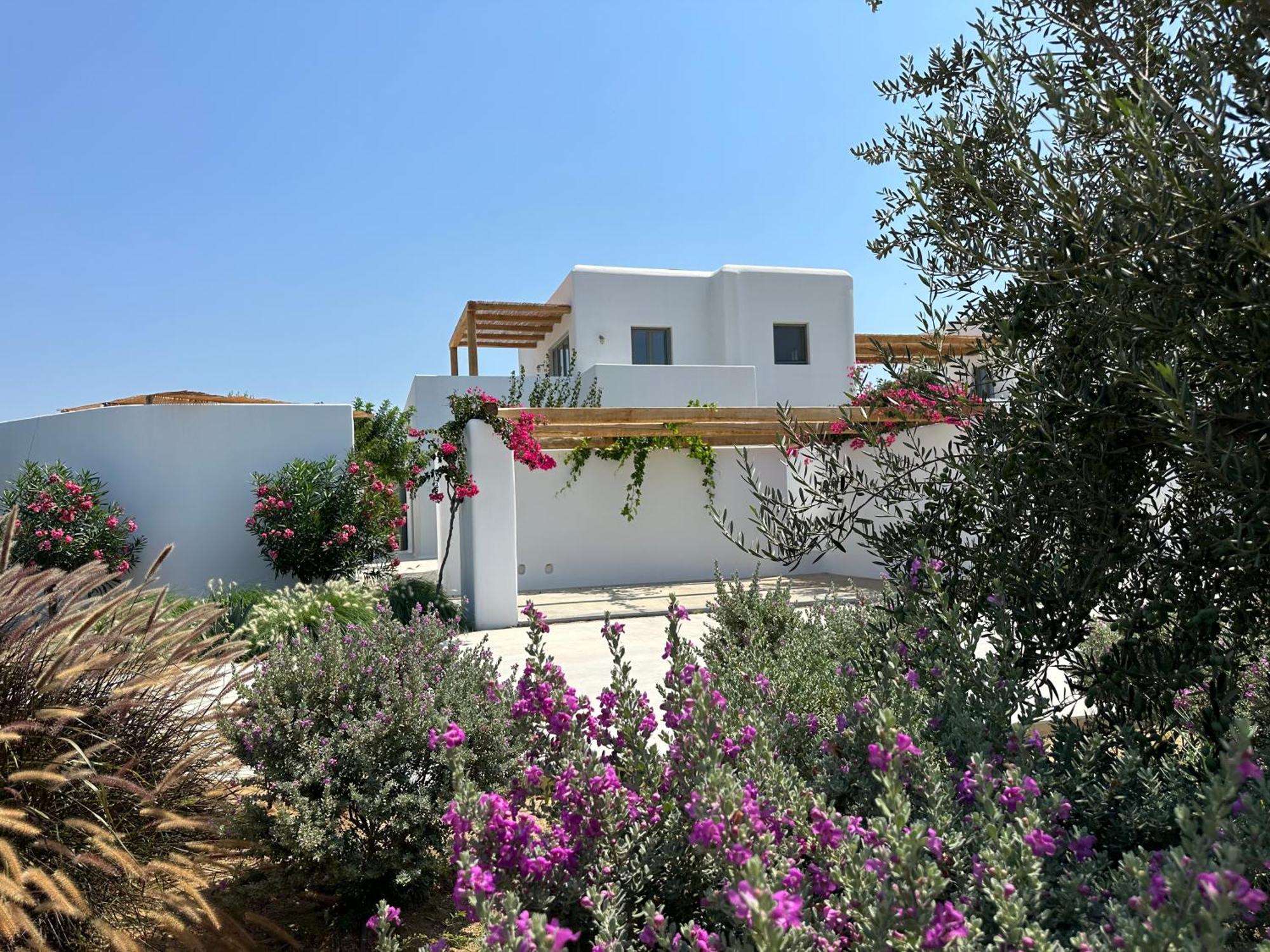 Alio Naxos Luxury Suites 圣乔治 外观 照片