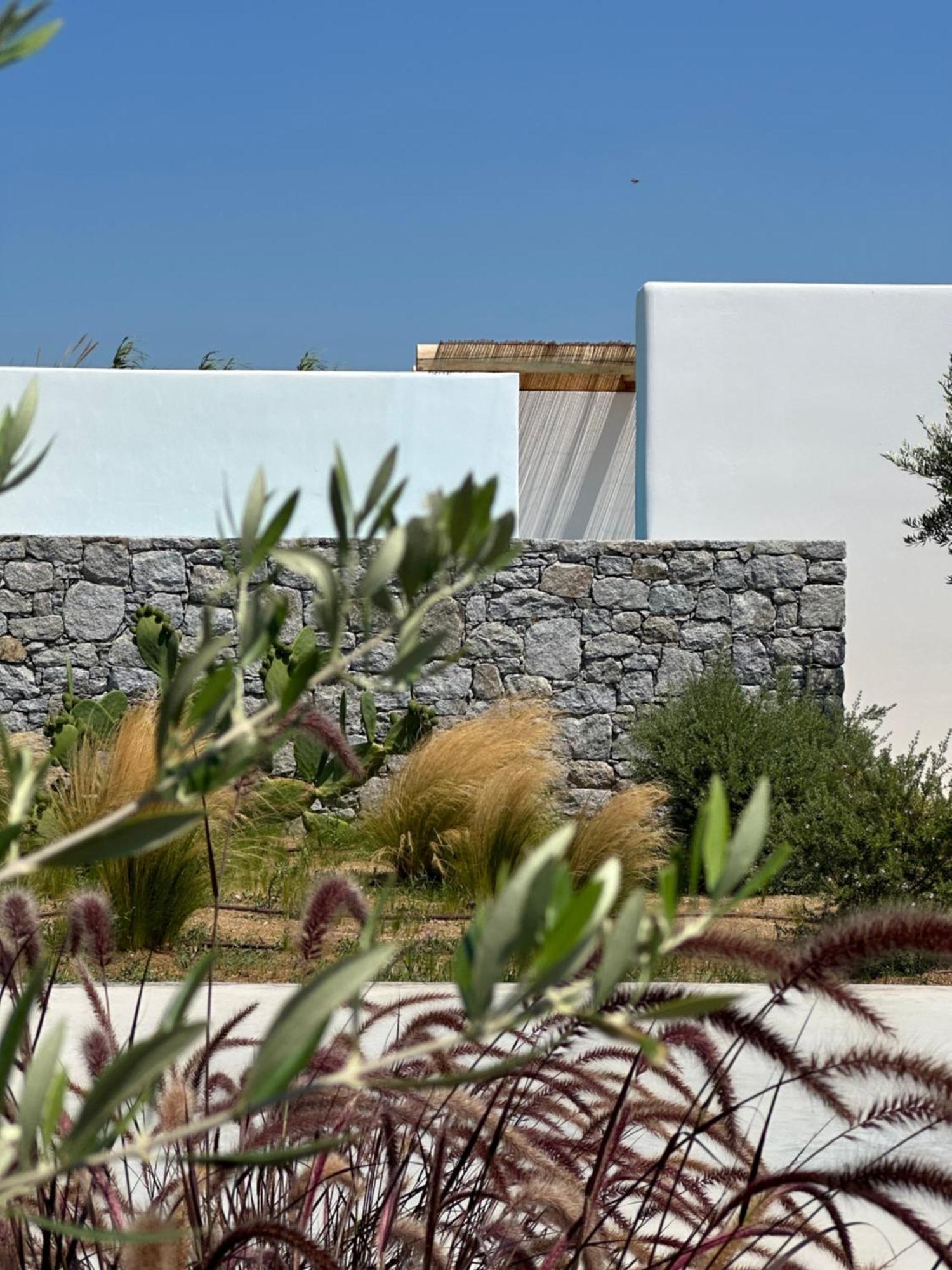 Alio Naxos Luxury Suites 圣乔治 外观 照片