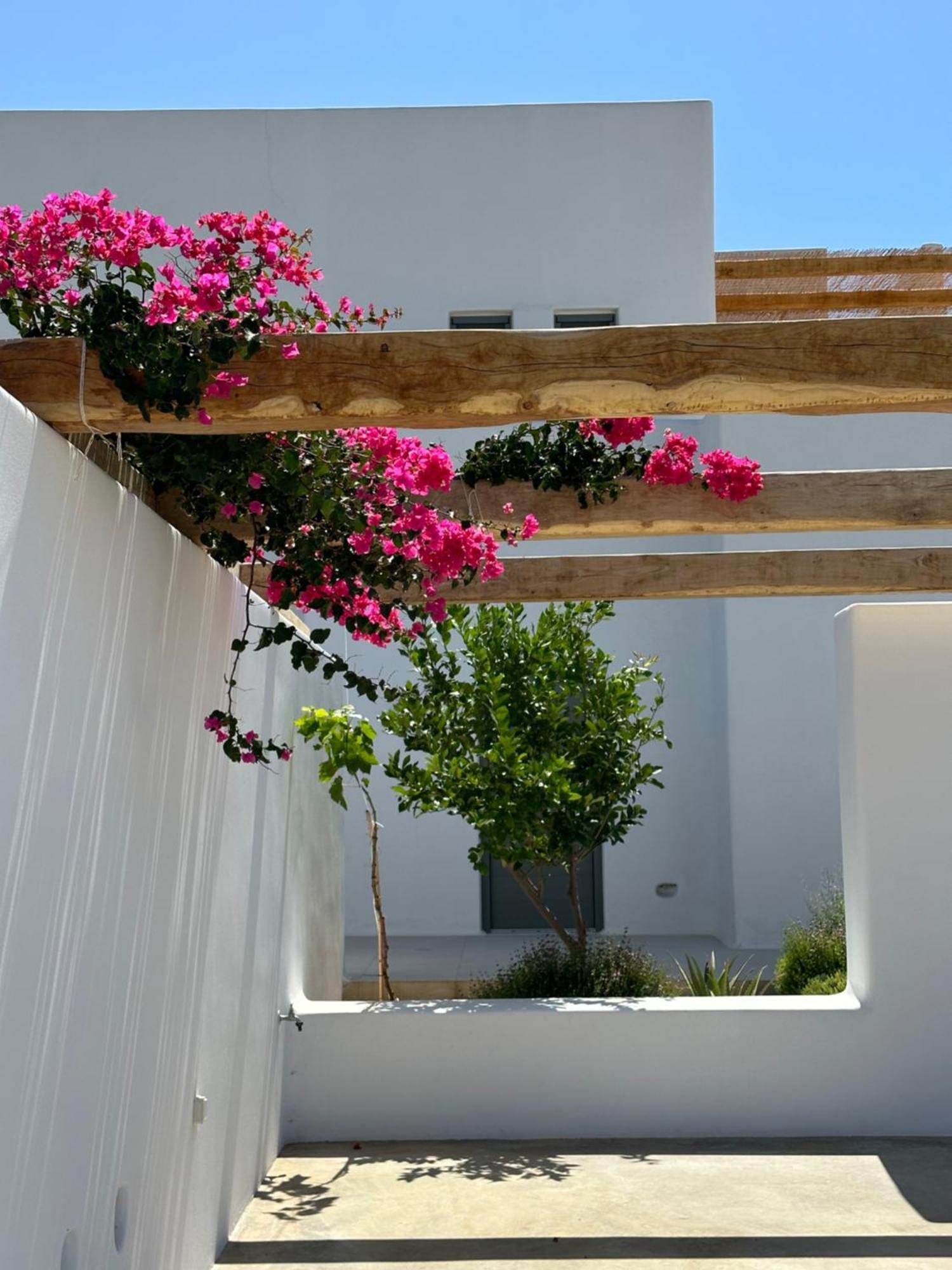 Alio Naxos Luxury Suites 圣乔治 外观 照片