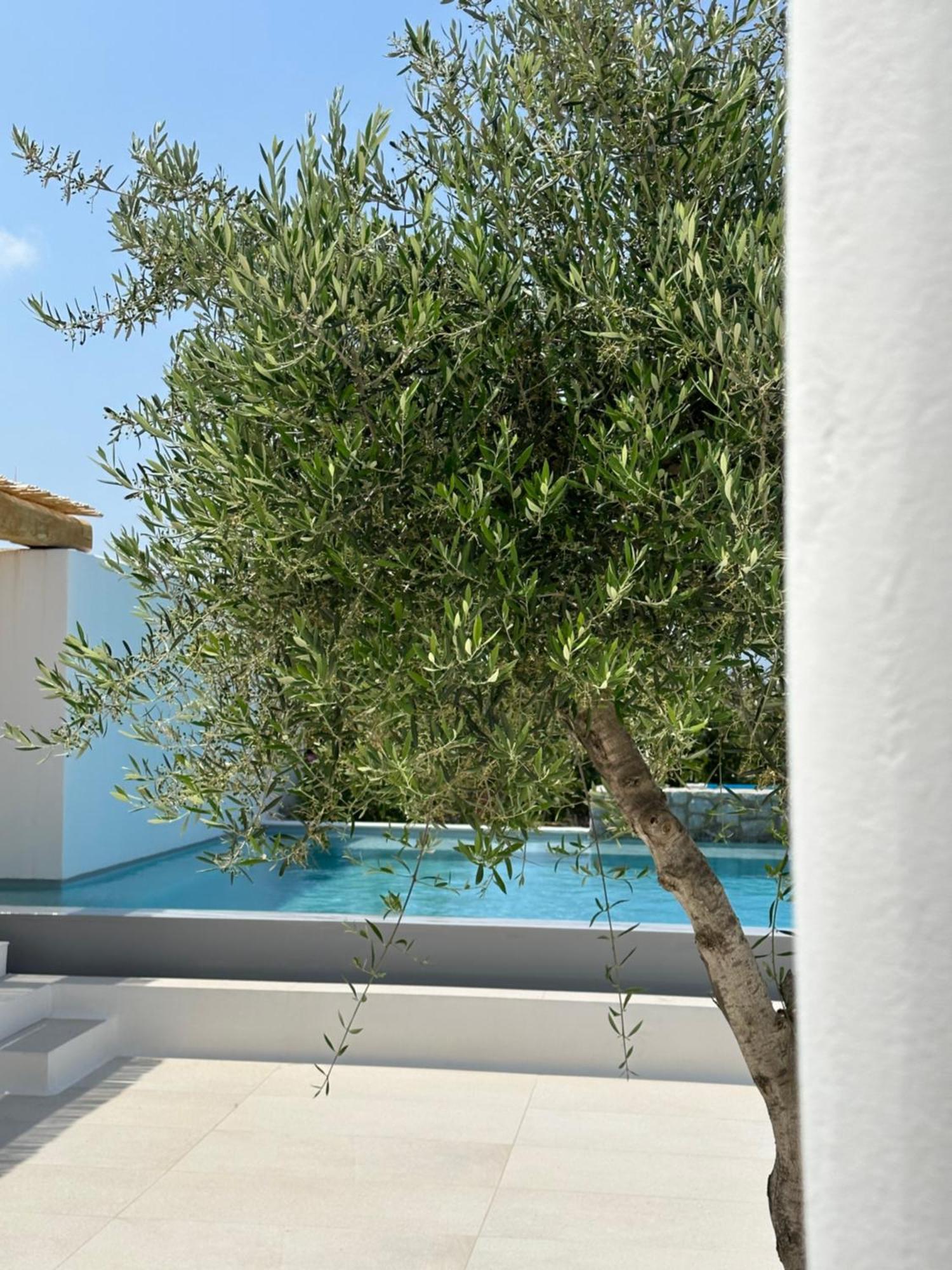 Alio Naxos Luxury Suites 圣乔治 外观 照片