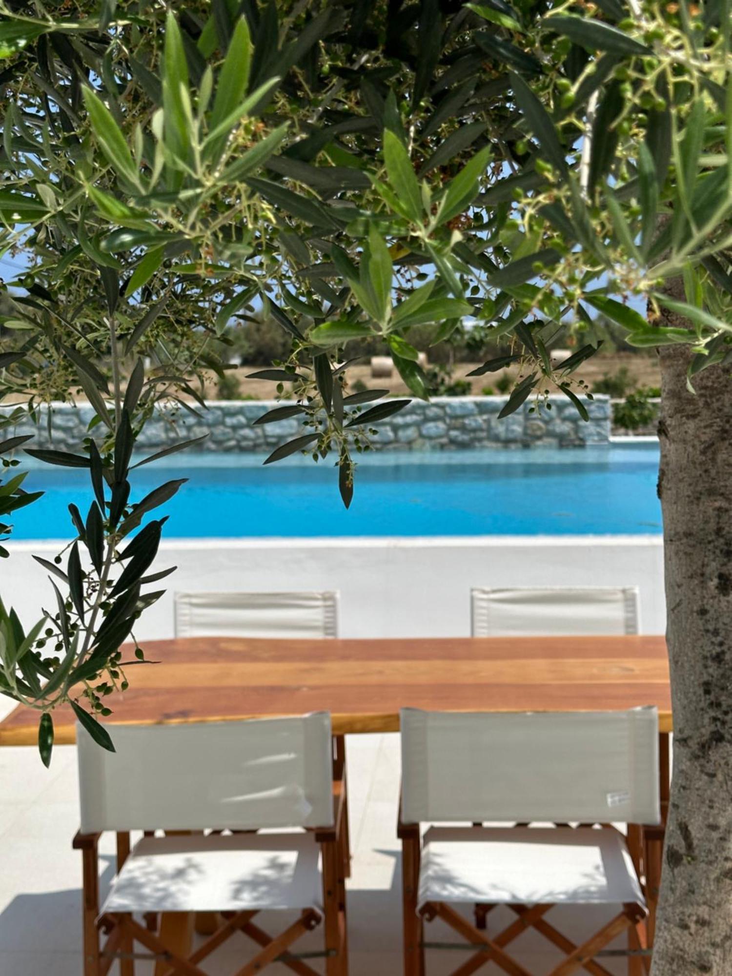 Alio Naxos Luxury Suites 圣乔治 外观 照片